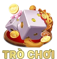 Biểu tượng thăng cấp VIP